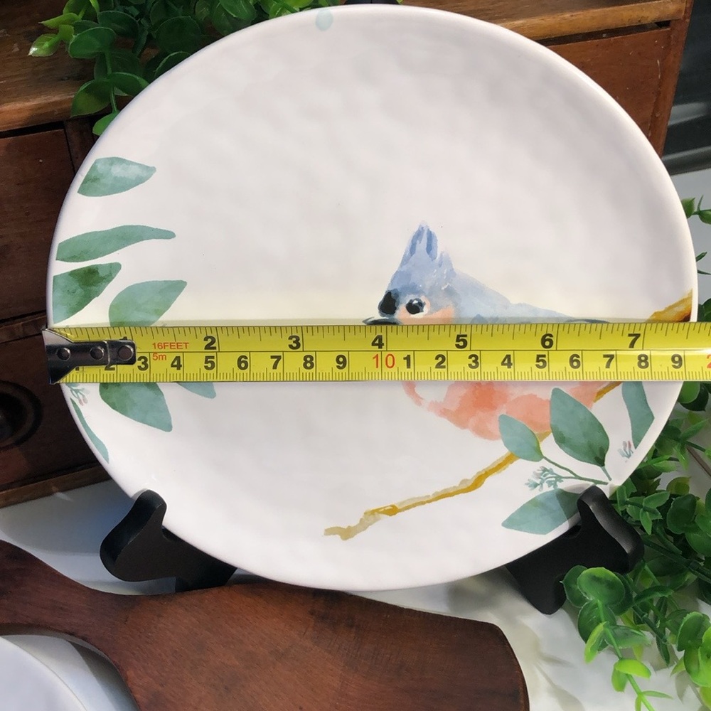 Wild Bird Plates Cardinal Bluebird Designs NWT Set of 2 by Giftcraft Collection - Picture 10 of 13